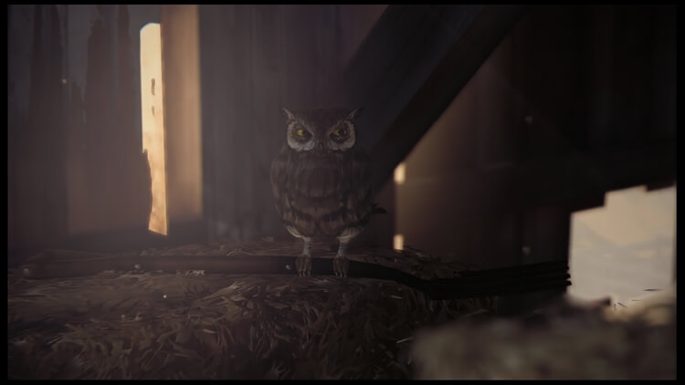 Life Is Strange(ライフ イズ ストレンジ) 撮影ポイント