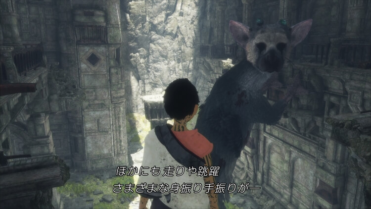 人喰いの大鷲トリコ