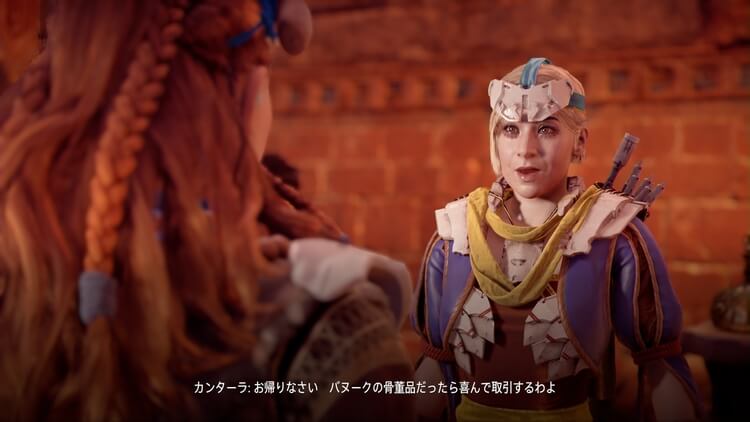 Horizon Zero Dawn(ホライゾン ゼロ ドーン)