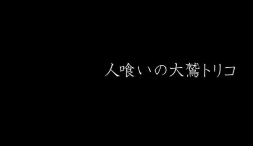 【人喰いの大鷲トリコ | PS4】評価･レビュー 思わず感情移入してしまう物語